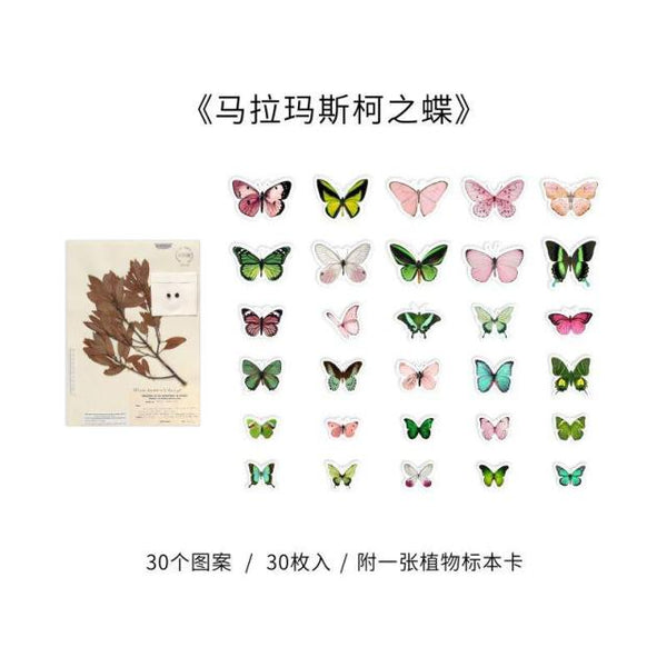 Vintage Butterflies (B215)